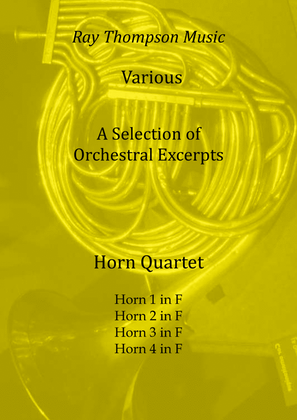 Book cover for A Selection of Orchestral Excerpts arranged for horn quartet
