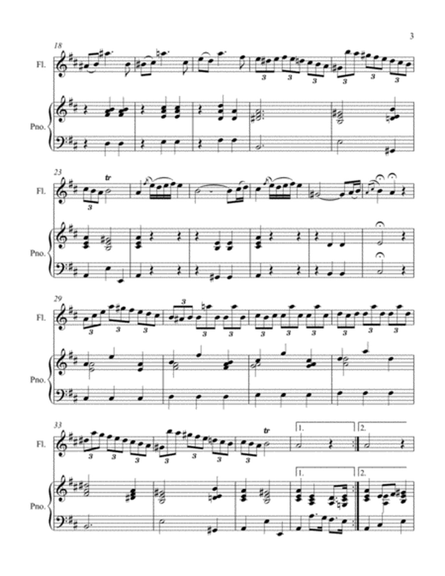 Flute Sonata in D III. Allegro