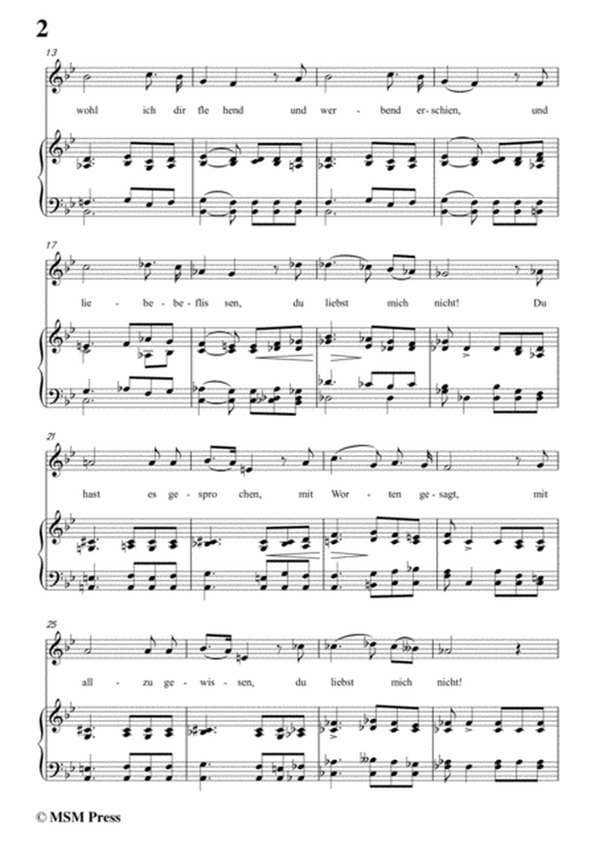 Schubert-Du Liebst mich nicht,Op.59 No.1,in g minor,for Voice&Piano image number null
