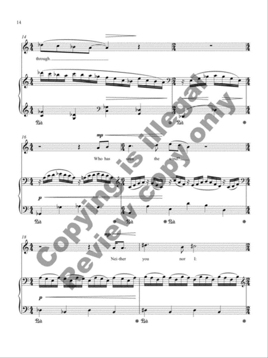 Christina's World Soprano Voice scores gallery preview page 30