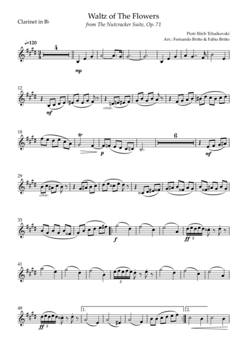 Waltz of The Flowers - from Nutcracker (P. I. Tchaikovsky) for Clarinet in Bb & Bass Clarinet in Bb image number null