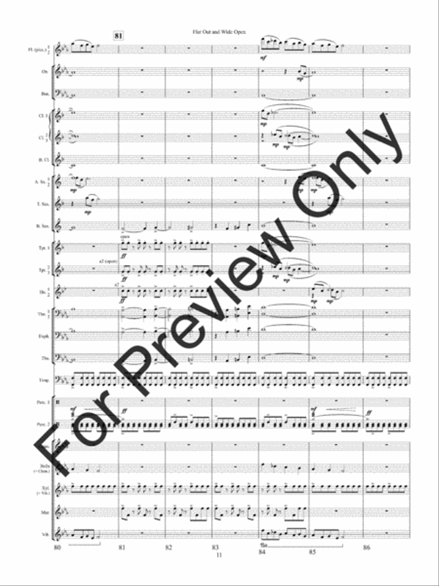 Flat Out and Wide Open Concert Band scores gallery preview page 14