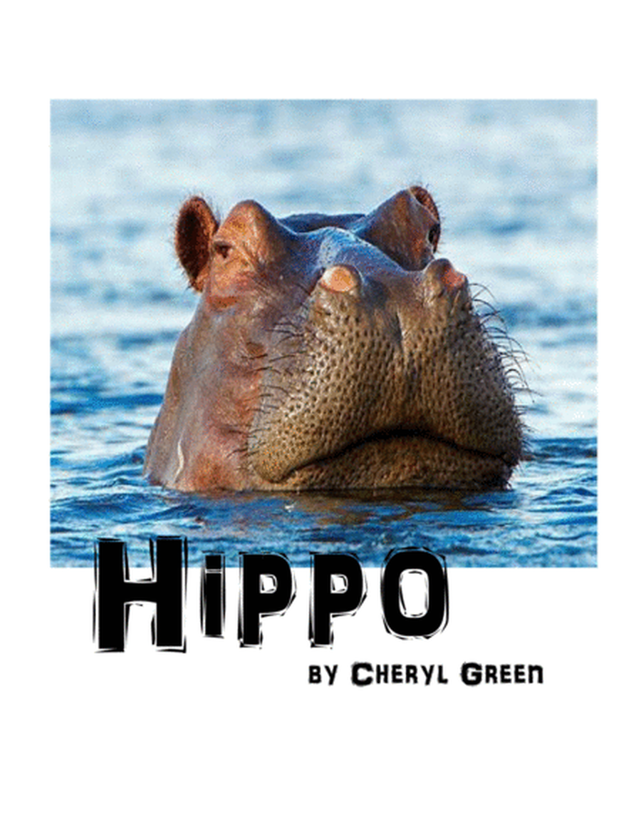 Hippo image number null