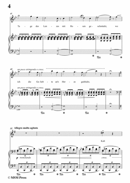 Liszt-Es rauschen die winde in G Major,for Voice and Piano image number null