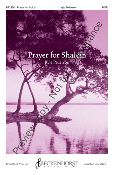 Prayer for Shalom image number null