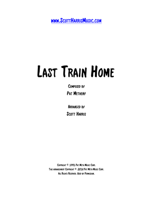 Book cover for Last Train Home