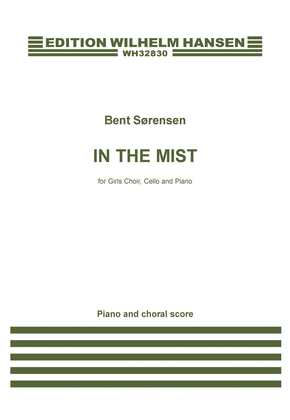 Book cover for In the Mist