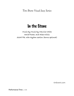 Book cover for In The Stone