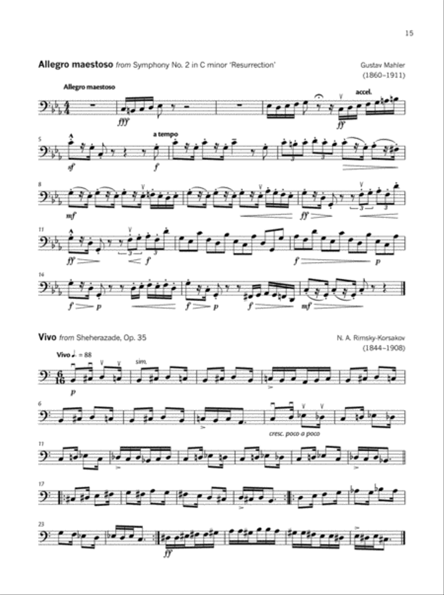 Double Bass Solo Techniques Double Bass scores gallery preview page 3