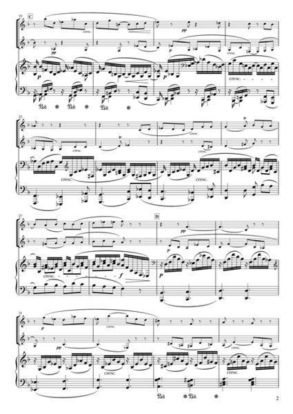 Fantasiestucke Op.88 III Duett for Oboe, Clarinet & Piano image number null