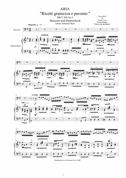 Bach - Aria (Ricetti gramezza e pavento) BWV 209 No.5 for Bassoon and Harpsichord image number null