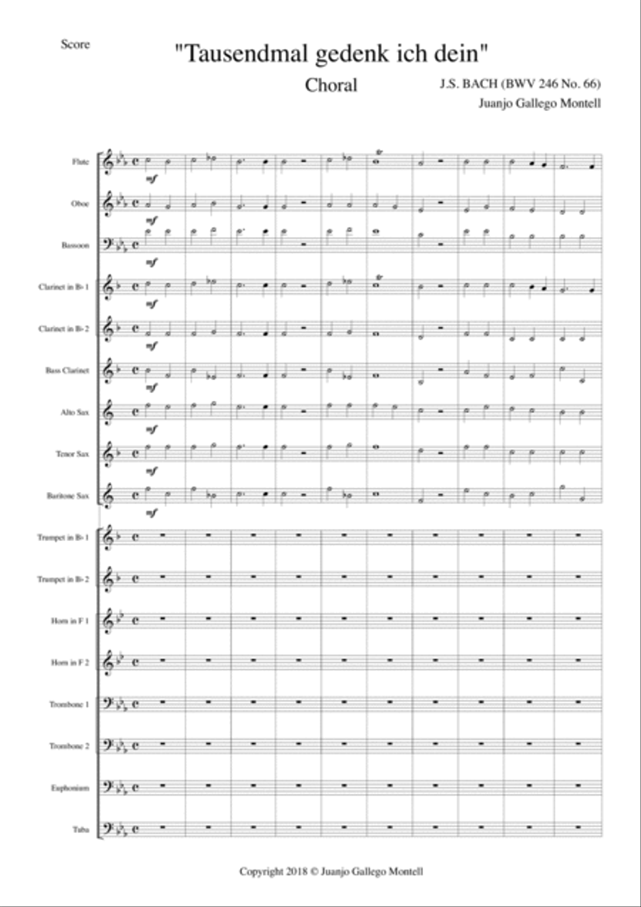 Tausendmal gedenk ich dein Concert Band scores gallery preview page 2