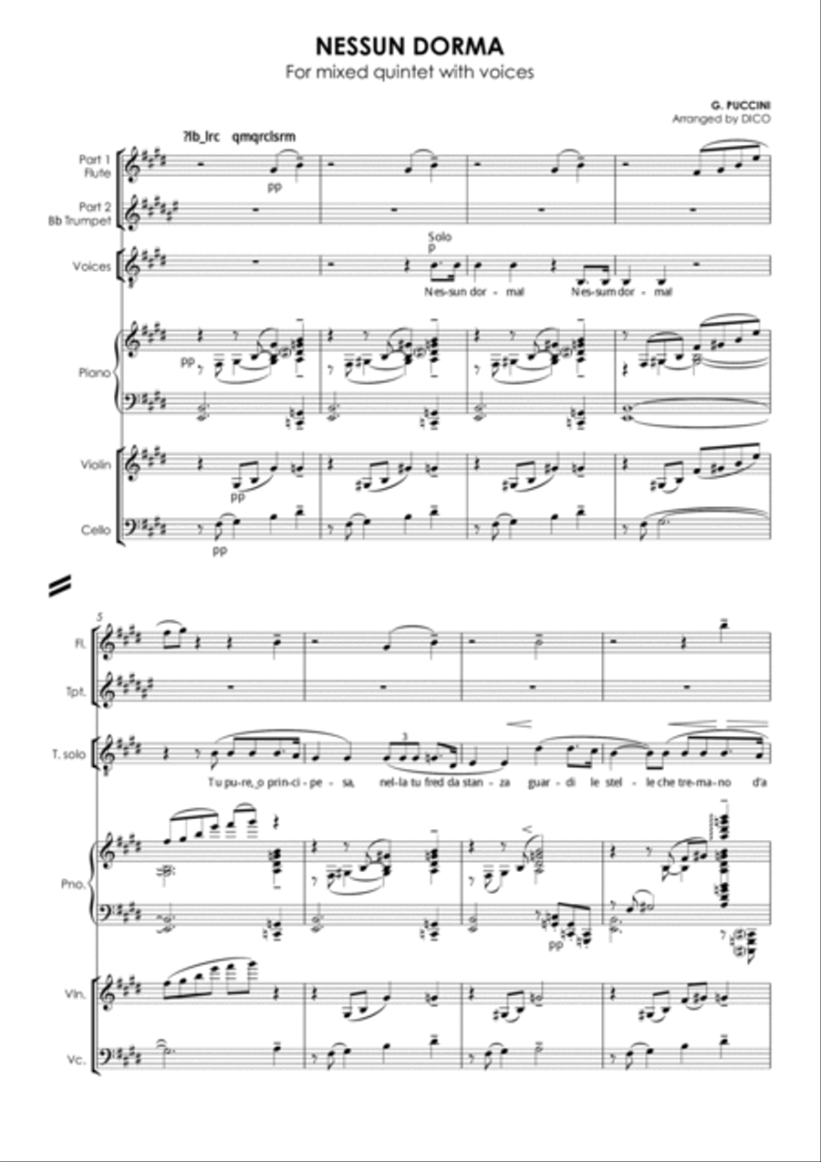 NESSUN DORMA (in E) - for voices & flexible quintet Small Ensemble scores gallery preview page 2