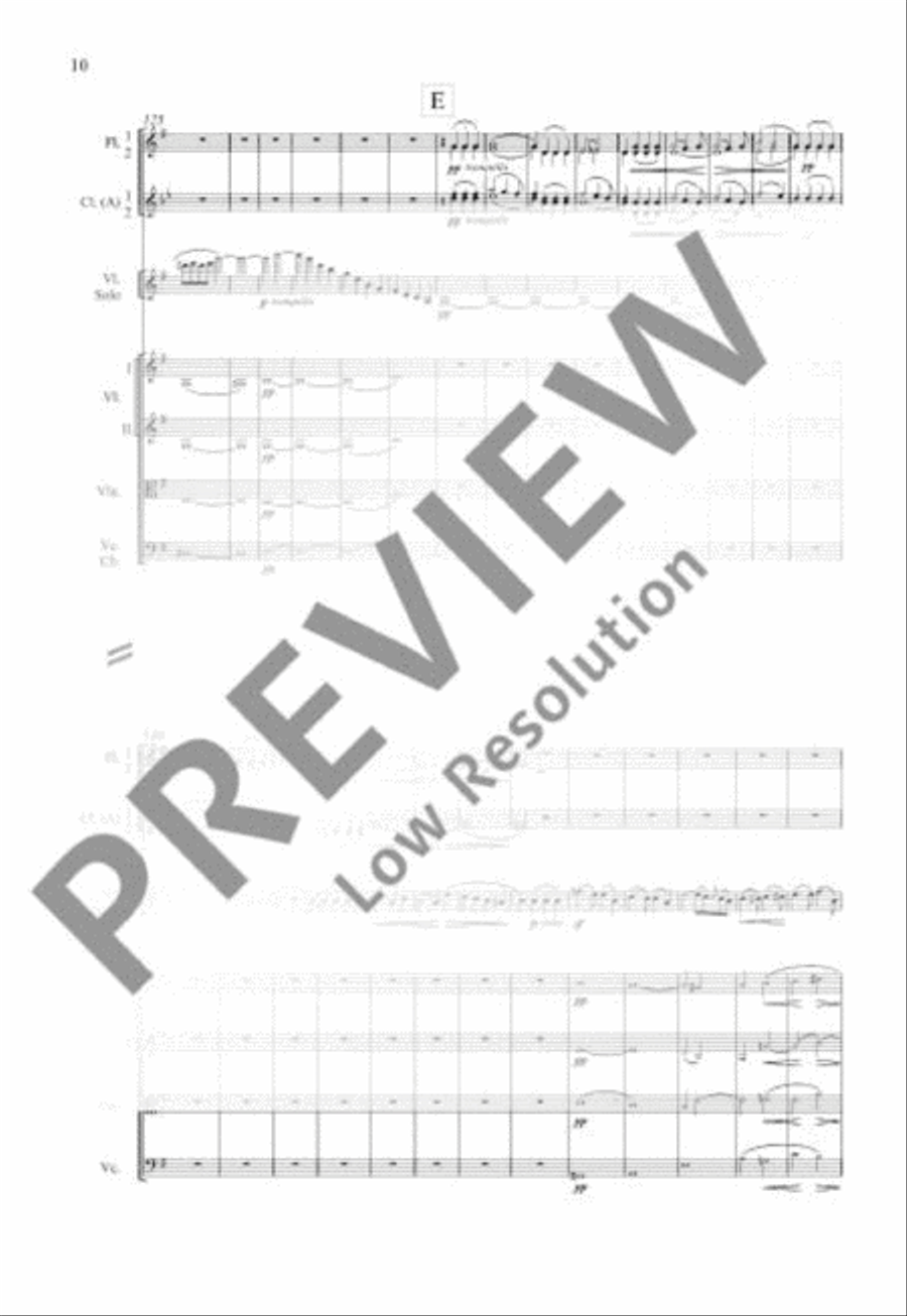 Concerto E minor Orchestra scores gallery preview page 17