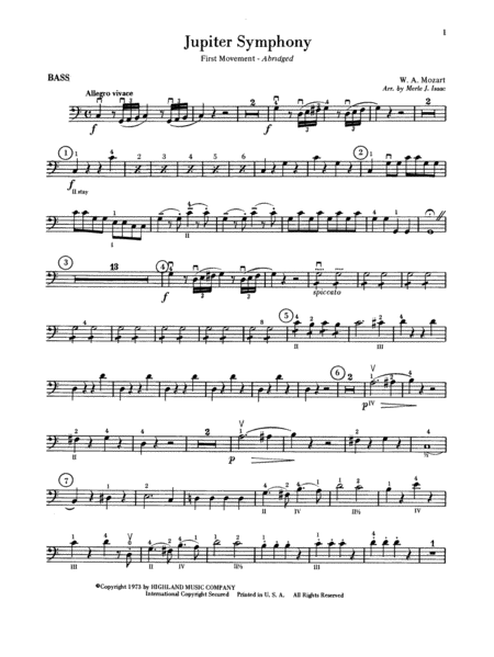 Jupiter Symphony, 1st Movement: String Bass