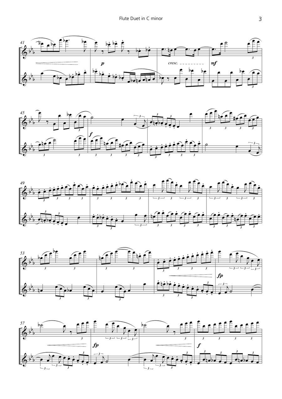 Flute Duet in C minor Flute Duet scores gallery preview page 3