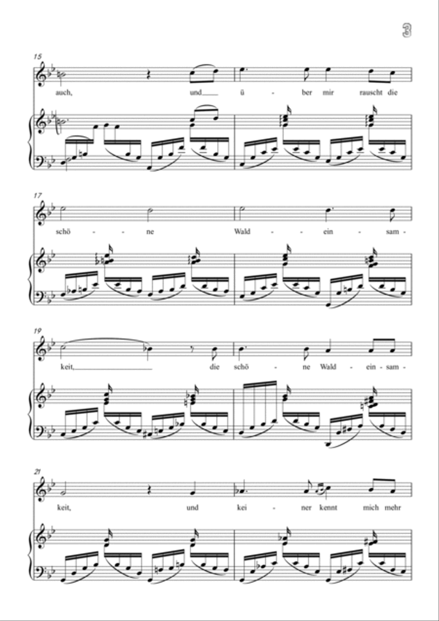 Schumann-In der Fremde in g minor Voice scores gallery preview page 4