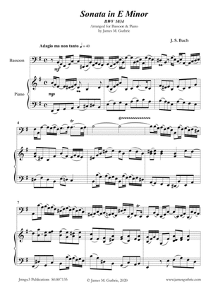 BACH: Sonata BWV 1034 for Bassoon & Piano