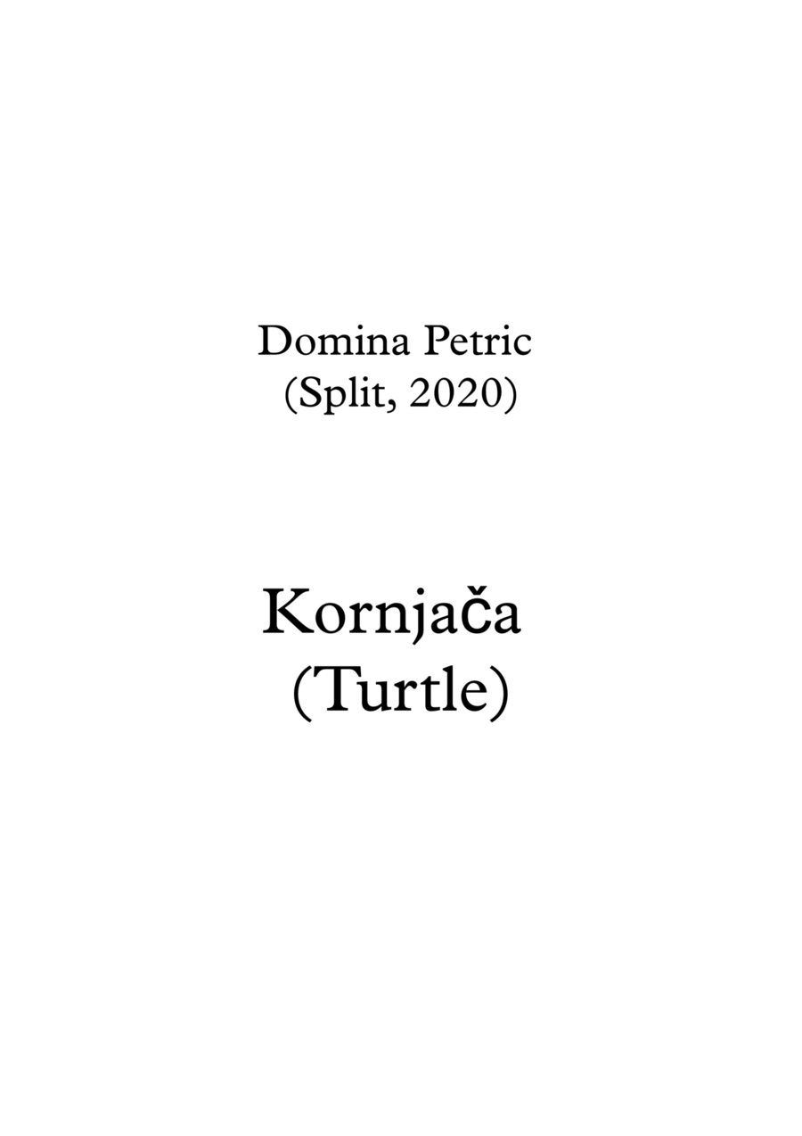 Turtle Turtle Easy Piano scores gallery preview page 1