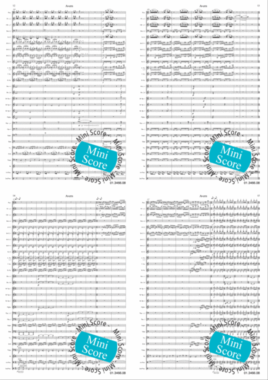 Avern Avern Concert Band scores gallery preview page 5