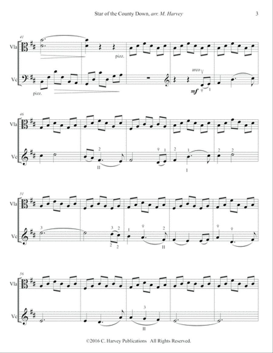 Star of the County Down Star of the County Down String Duet scores gallery preview page 5