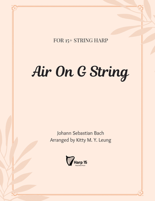 Book cover for Air on G String
