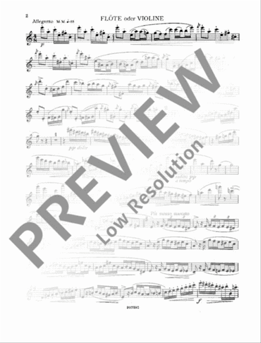 Capriccio Flute scores gallery preview page 14