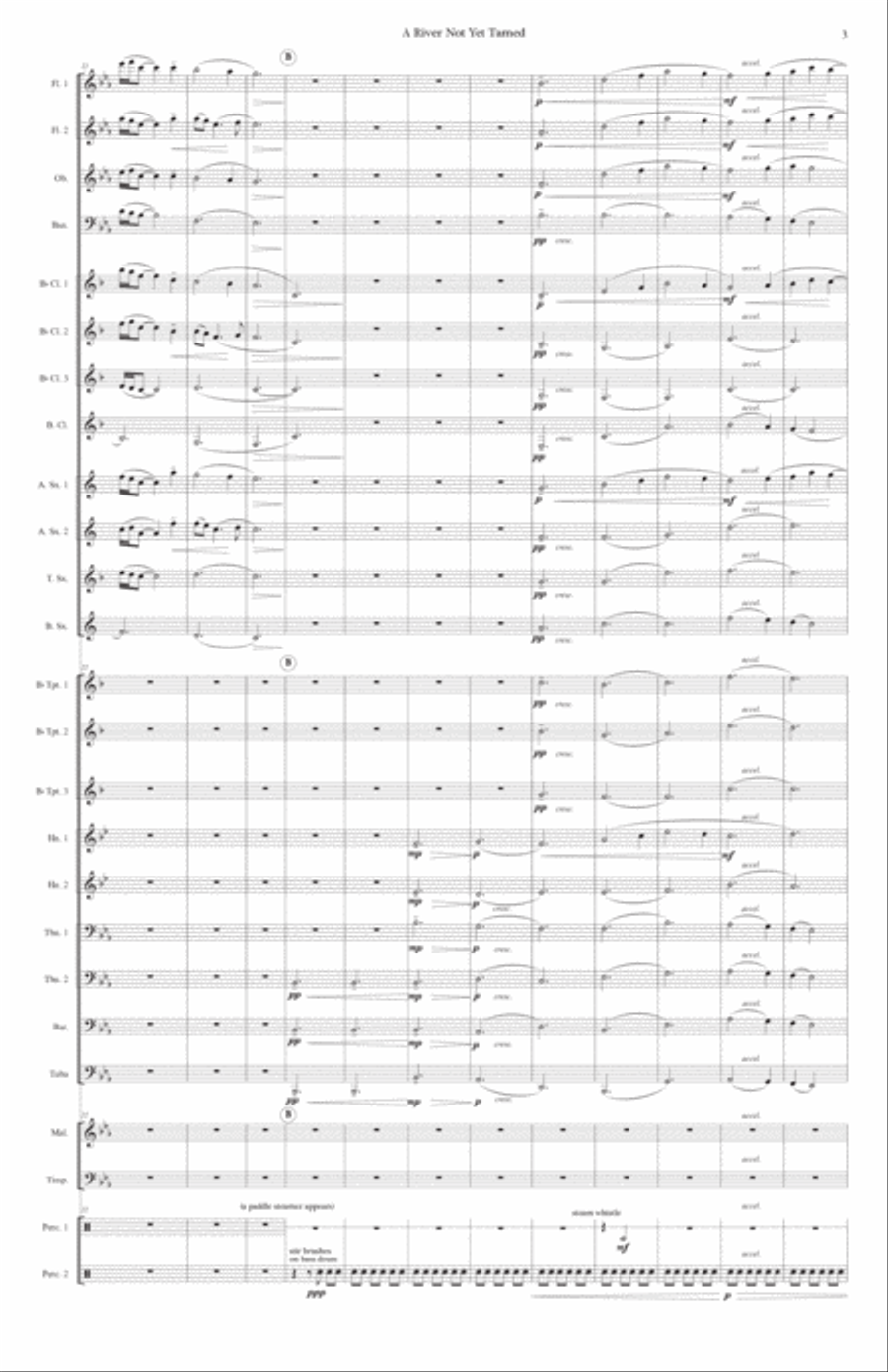A River Not Yet Tamed Concert Band scores gallery preview page 5