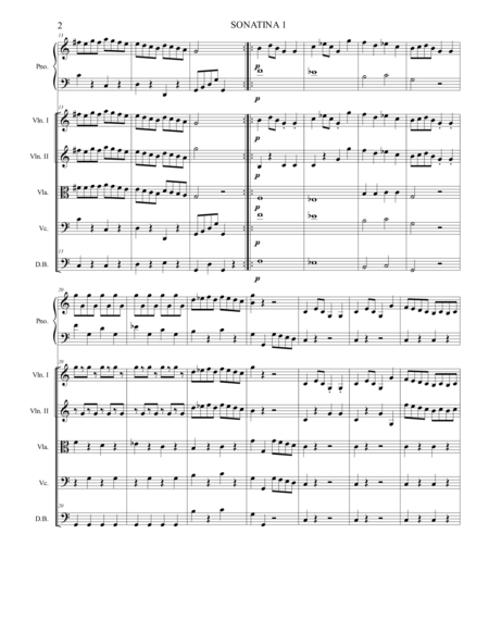 Sonatina 1 for a String Orchestra - Score Only