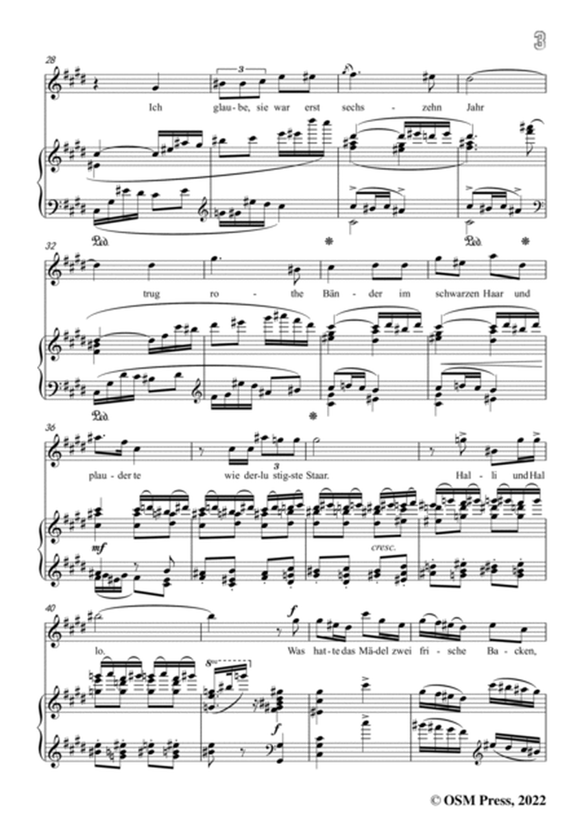 Richard Strauss-Bruder Liederlich,in E Major,Op.41 No.4 image number null