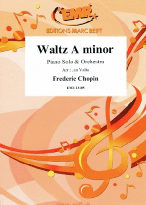 Book cover for Waltz A minor