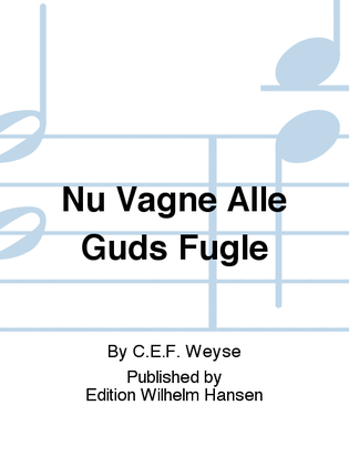 Book cover for Nu Vågne Alle Guds Fugle