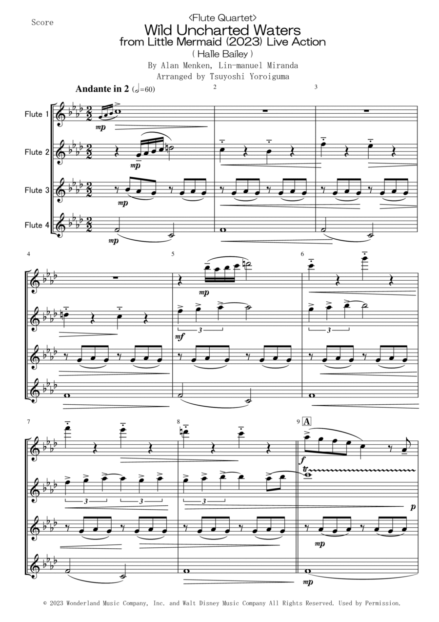 Wild Uncharted Waters Wild Uncharted Waters Flute Quartet scores gallery preview page 1
