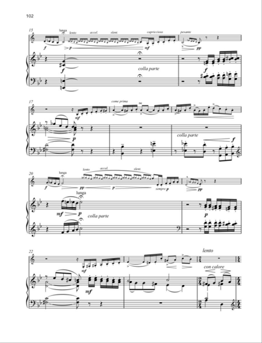 Csárdás-Variations from North Croatia B-Flat Clarinet scores gallery preview page 2