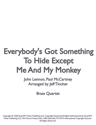 Everybody's Got Something To Hide Except Me And My Monkey