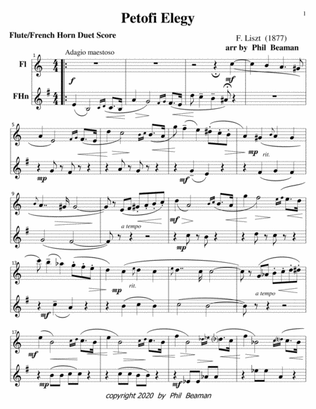 Book cover for Petofi Elegy-Liszt-flute-french horn duet