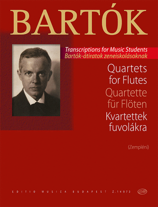 Book cover for Quartets for flute
