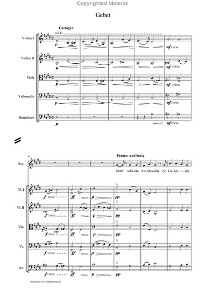 Neun Lieder - Instrumentation fur Sopran und Streichorchester (1972)