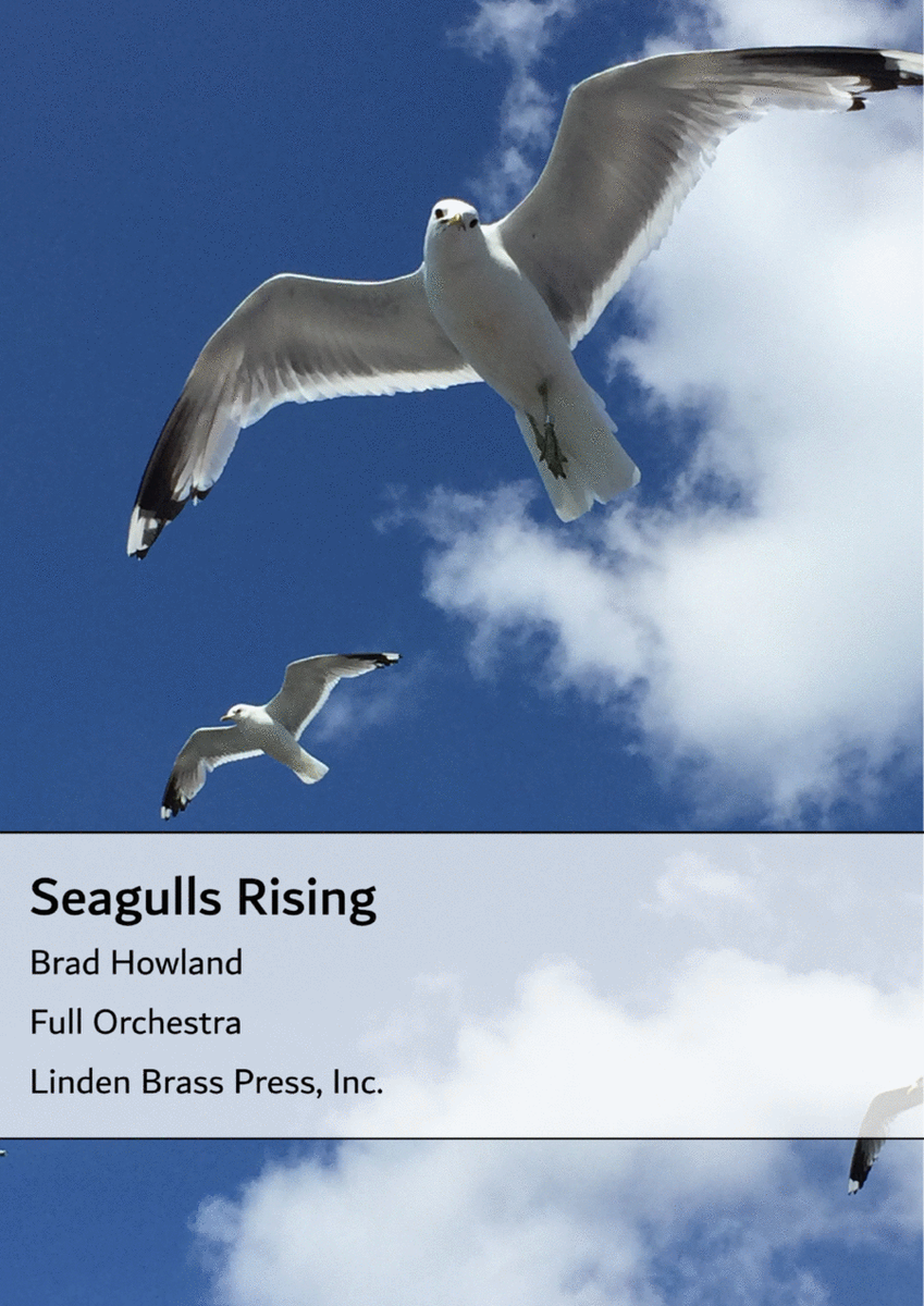 Seagulls Rising for Full Orchestra image number null
