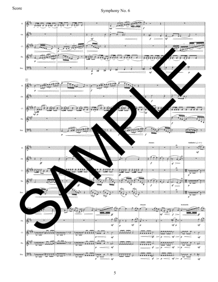 Symphony No. 6 - 1st Movement for Woodwind Quintet image number null