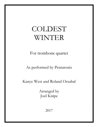 Book cover for Coldest Winter