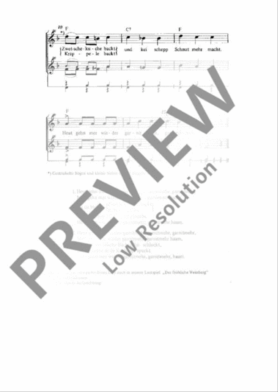 Heut gehn mer wieder garnitmehr haam Soprano Recorder scores gallery preview page 3