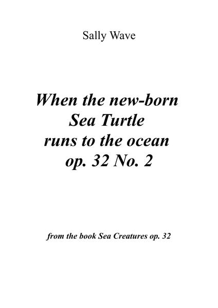 When the new-born Sea Turtle runs to the ocean op. 32 No. 2