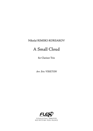 Book cover for A Small Cloud