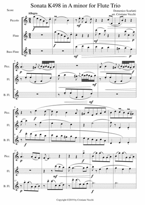 Book cover for Sonata K498 in A minor for Flute Trio