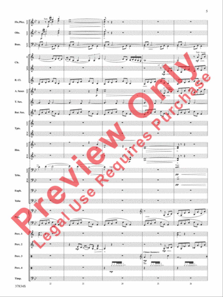 Poor Wayfaring Stranger Poor Wayfaring Stranger Concert Band scores gallery preview page 6