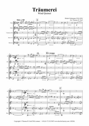 Book cover for Träumerei - romantic Masterpiece by R.Schumann - Wind Quintet