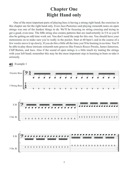 Learn to Burn: 5-String Bass Guitar image number null