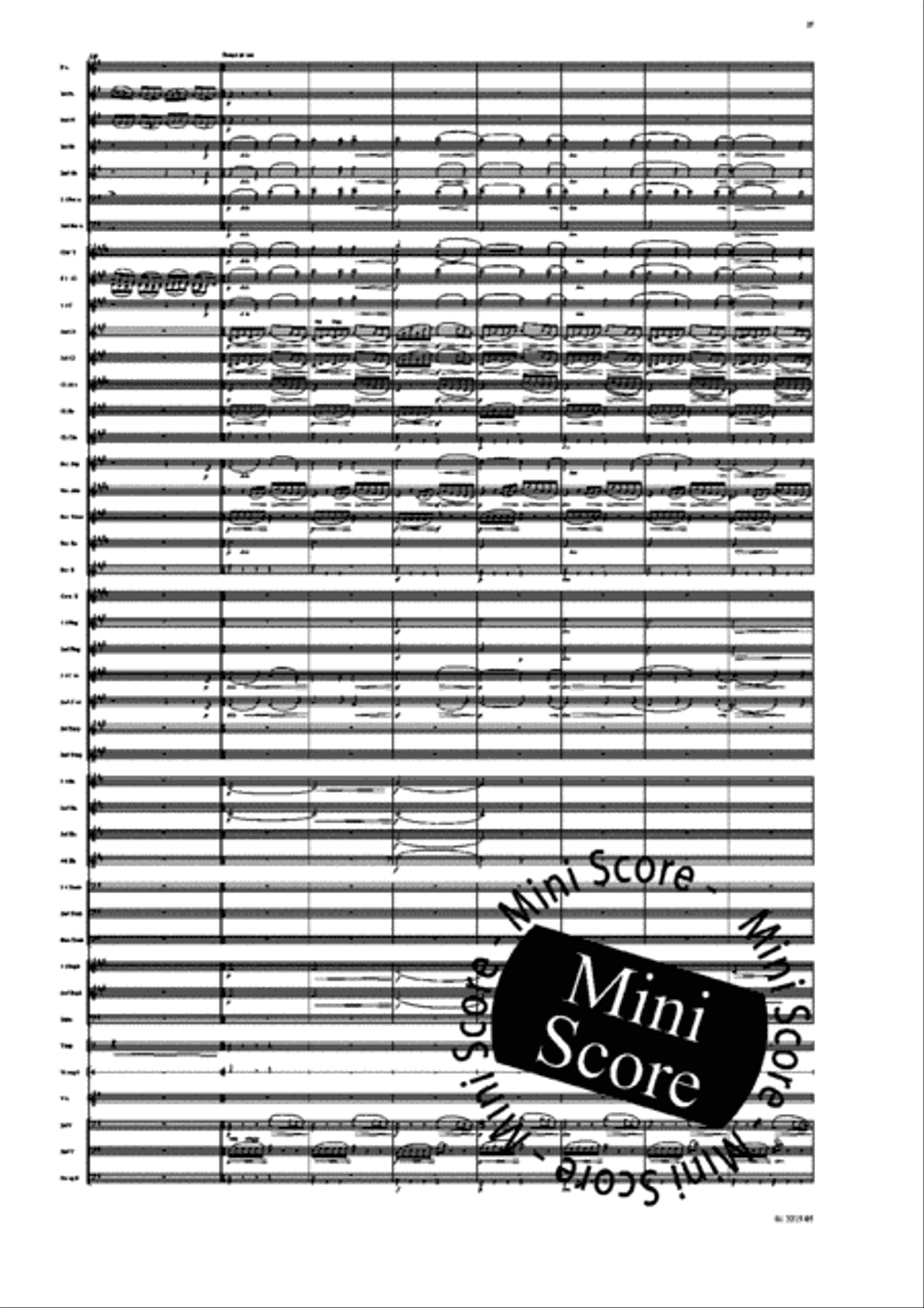 Ma Vlast Concert Band scores gallery preview page 29