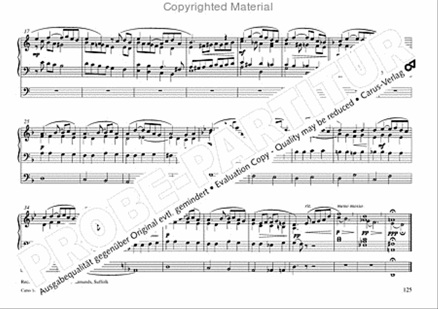 Freiburger Orgelbuch: Stammteil Organ Solo scores gallery preview page 126
